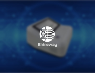 东升国际官网-钻营健全,你我一路成长